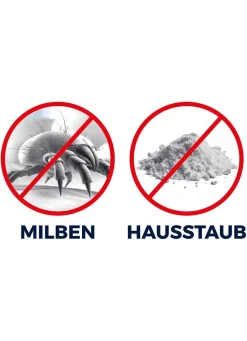 Akku-Milbensauger