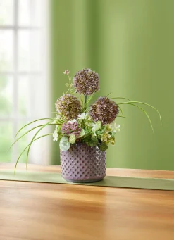 Allium-Gesteck im Topf