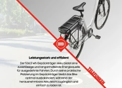 City-E-Bike RC667 von TELEFUNKEN
