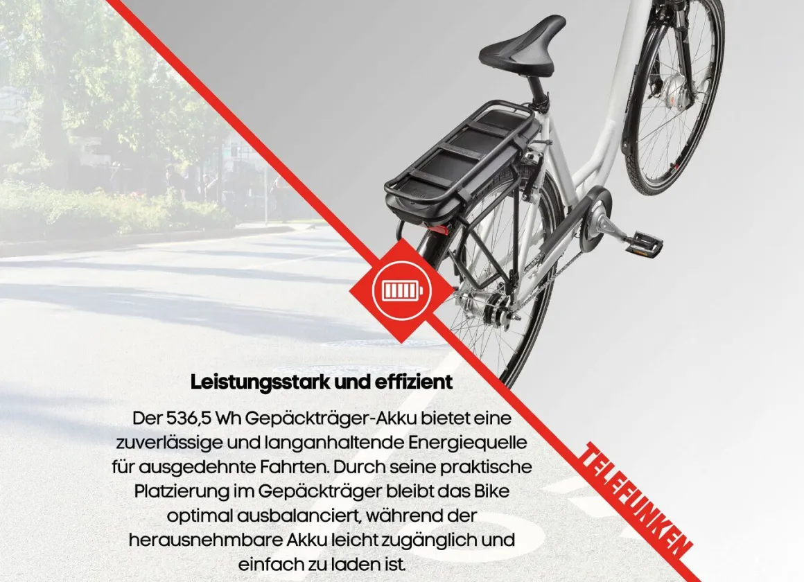 City-E-Bike RC667 von TELEFUNKEN