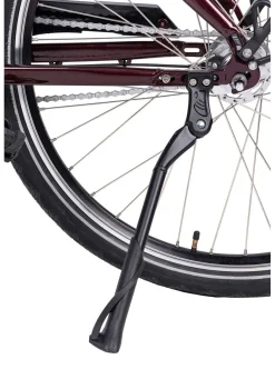 E-Bike Comfort Plus 5.0 von Saxonette