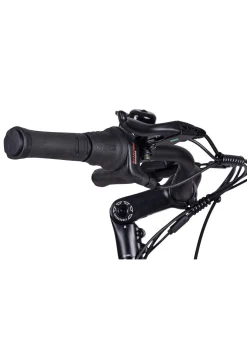 E-Bike Comfort Plus 5.0 von Saxonette