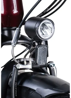 E-Bike Comfort Plus 5.0 von Saxonette