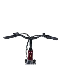 E-Bike Comfort Plus 5.0 von Saxonette
