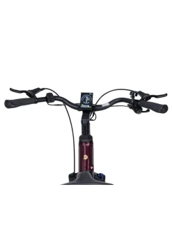 E-Bike Deluxe SUV Easy