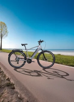 E-Trekking-Bike X-Road 5.2 von SAXONETTE