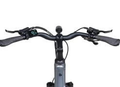 E-Trekking-Bike X-Road 5.2 von SAXONETTE