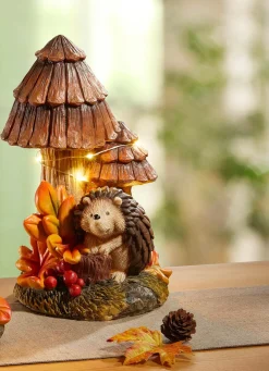 Herbstliche Pilzen, beleuchtet