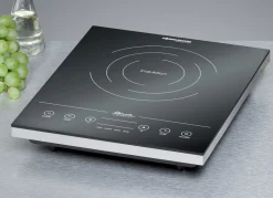 Induktions-Kochtafel in 2 AusfüIhrungen