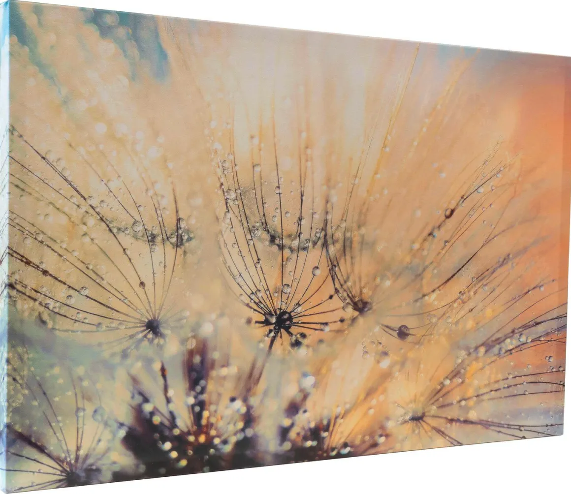 Leinwandbild mit Zertifikat