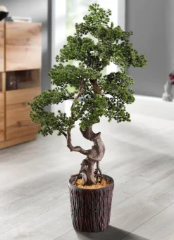 Lärchen-Bonsai im Magnesiatopf