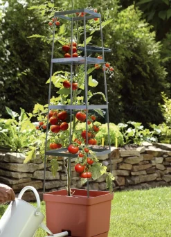 MAXITOM Tomaten-Rankhilfe Komplett-Set