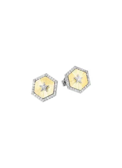 Ohrstecker in Bicolor mit 2 Brillanten und 60 Diamanten