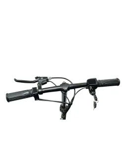 4-Rad-Roller