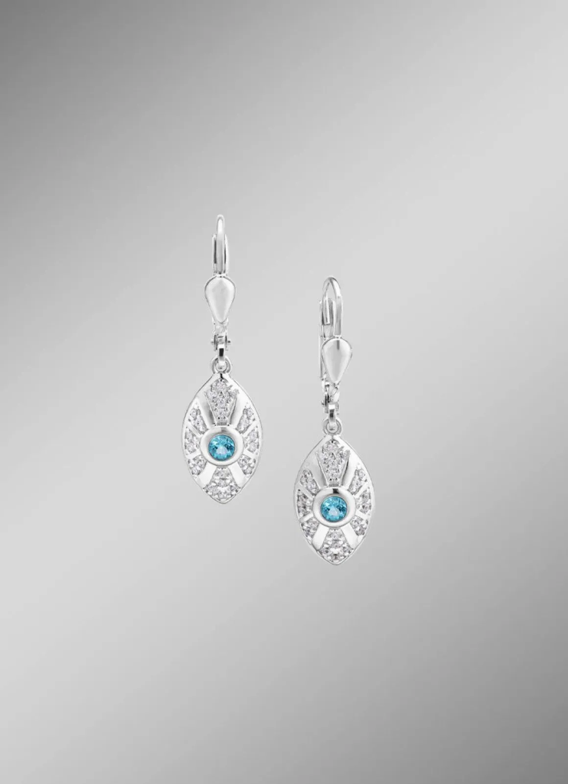 Strahlende Akzente – Exquisite Ohrringe aus Silber