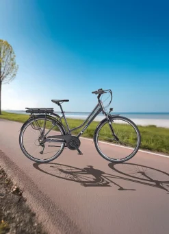 Trekking-E-Bike XT485 von Telefunken