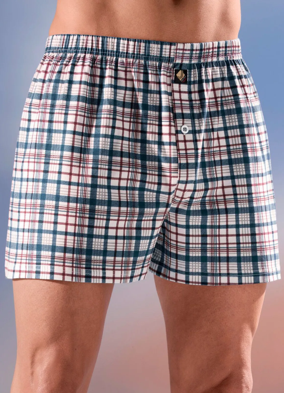 Viererpack Boxershorts, kariert, knöpfbarer Eingriff