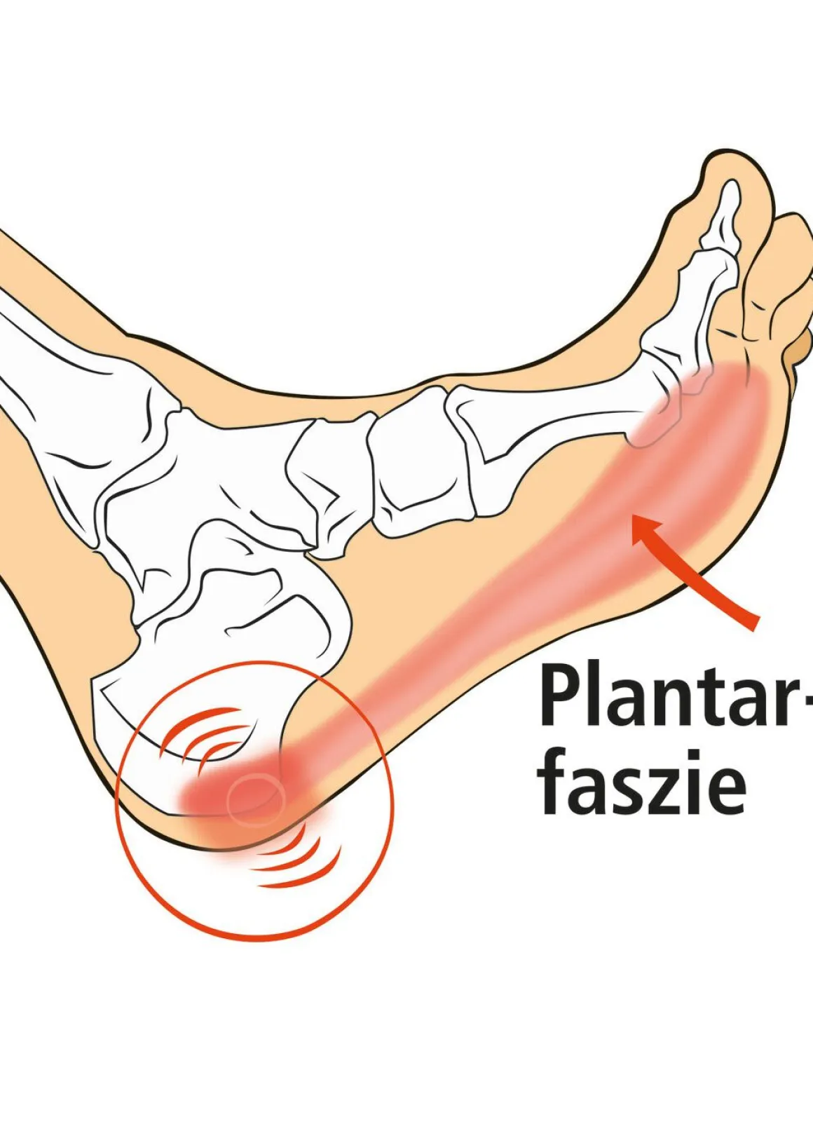 Vital Comfort Faszien-Fußroller