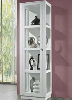 Vitrine mit Aluminiumknöpfen in Gold-Optik