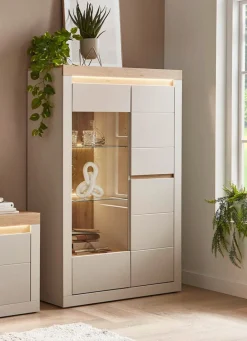 Vitrine mit LED-Beleuchtung, 1-türig