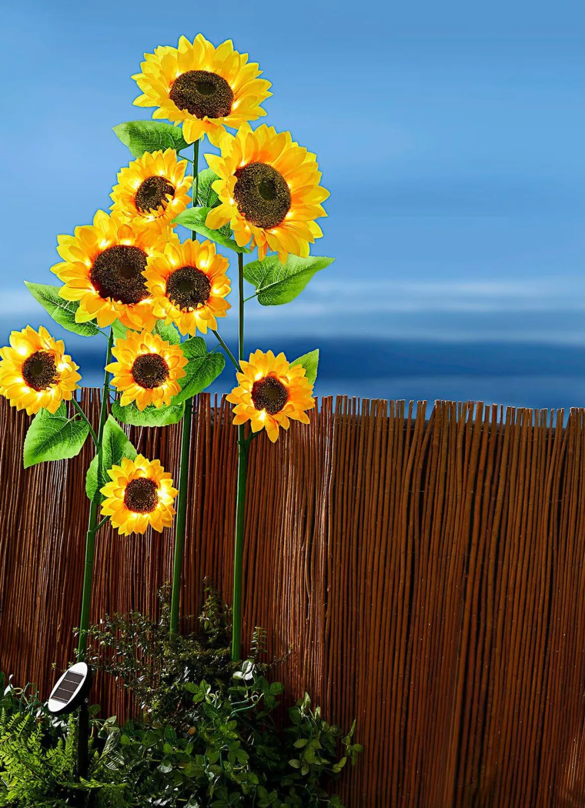 XXL-Solar-Sonnenblumen